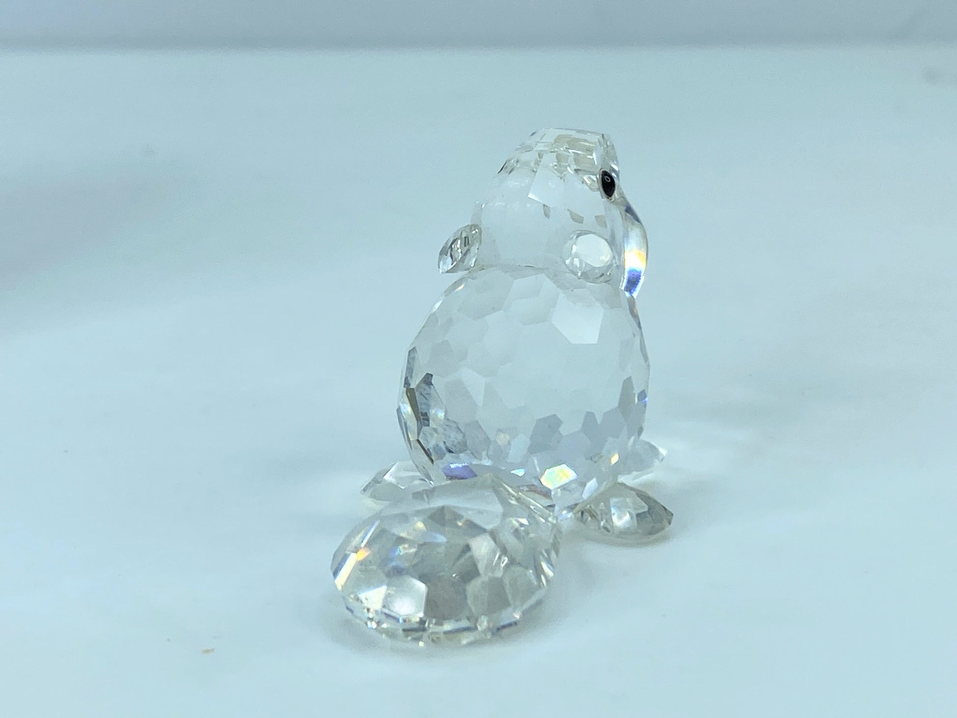 Swarovski Crystal Figurine Baby Beaver Sitting # 7616 Mint Mirror COA S110