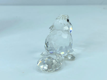 Swarovski Crystal Figurine Baby Beaver Sitting # 7616 Mint Mirror COA S110