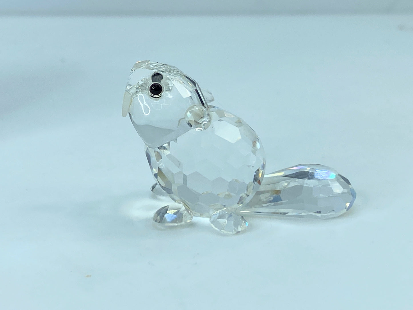 Swarovski Crystal Figurine Baby Beaver Sitting # 7616 Mint Mirror COA S110