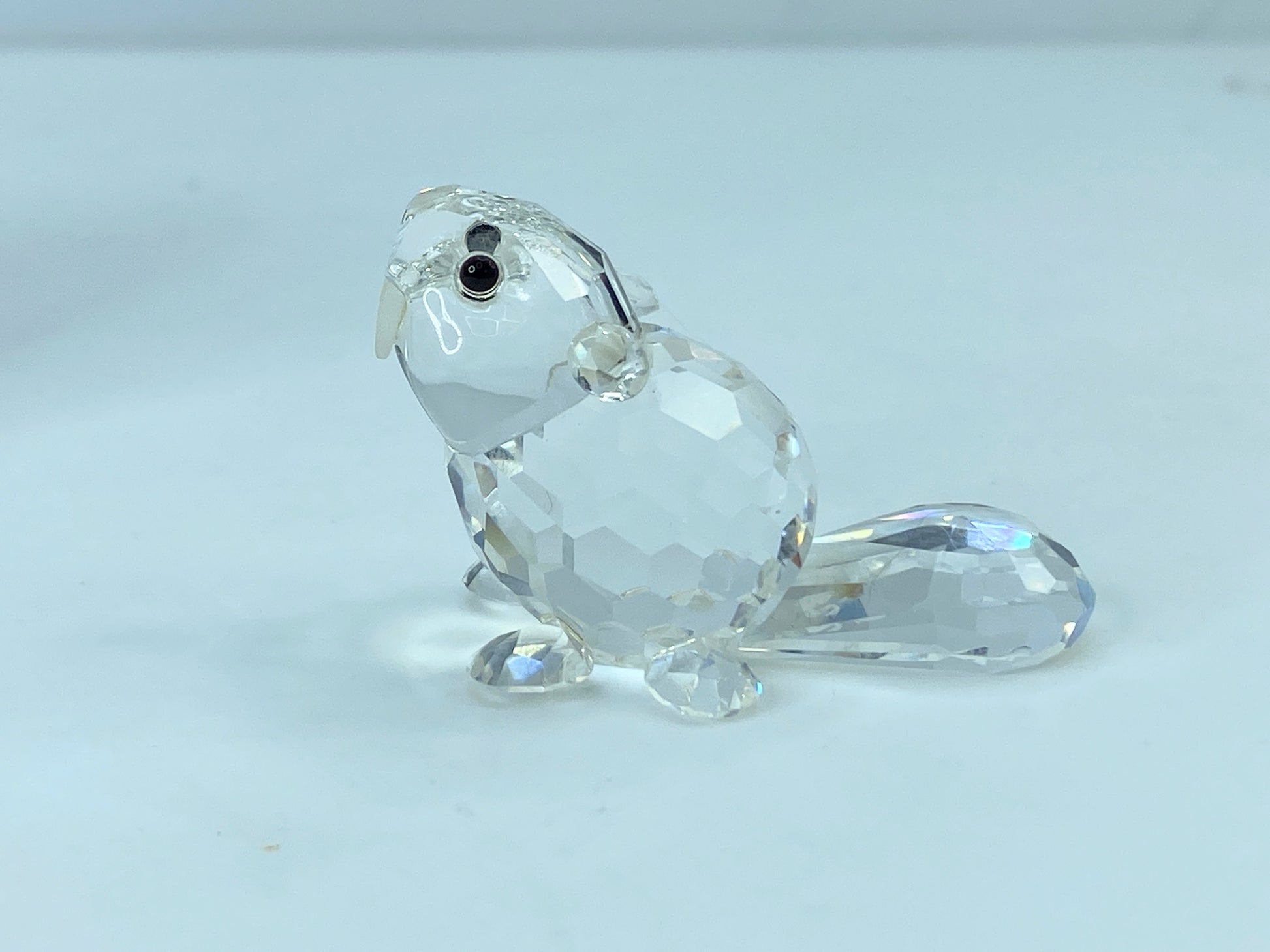 Swarovski Crystal Figurine Baby Beaver Sitting # 7616 Mint Mirror COA S110