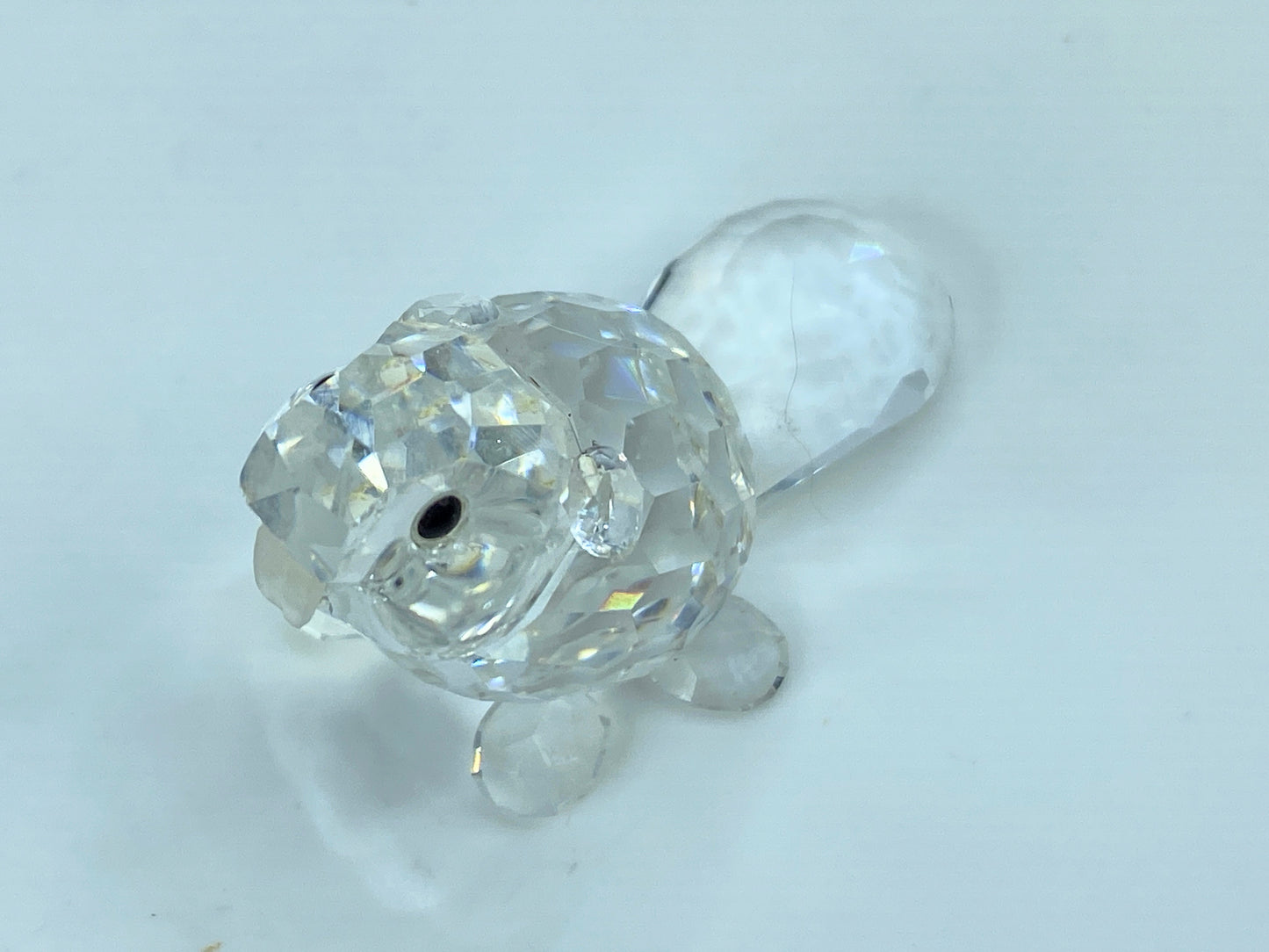 Swarovski Crystal Figurine Baby Beaver Sitting # 7616 Mint Mirror COA S110