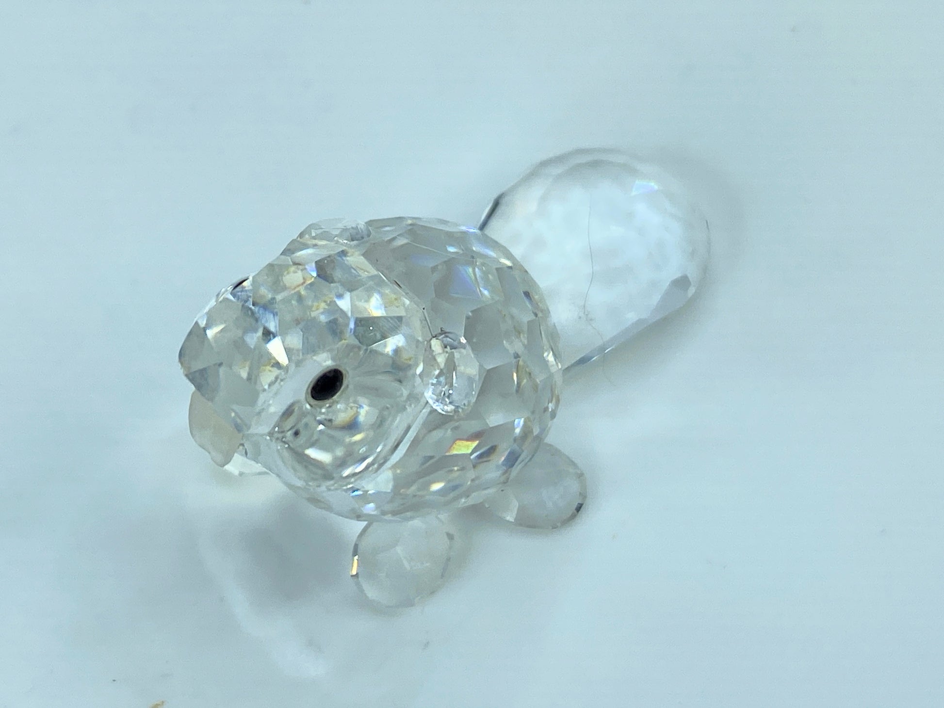 Swarovski Crystal Figurine Baby Beaver Sitting # 7616 Mint Mirror COA S110