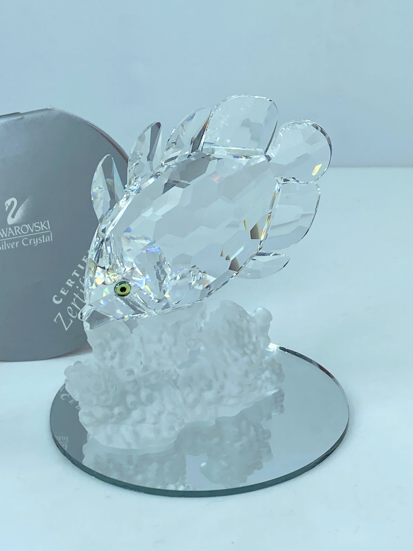 Swarovski Crystal Butterfly Fish 162888 Figurine Mint COA Mirror S112