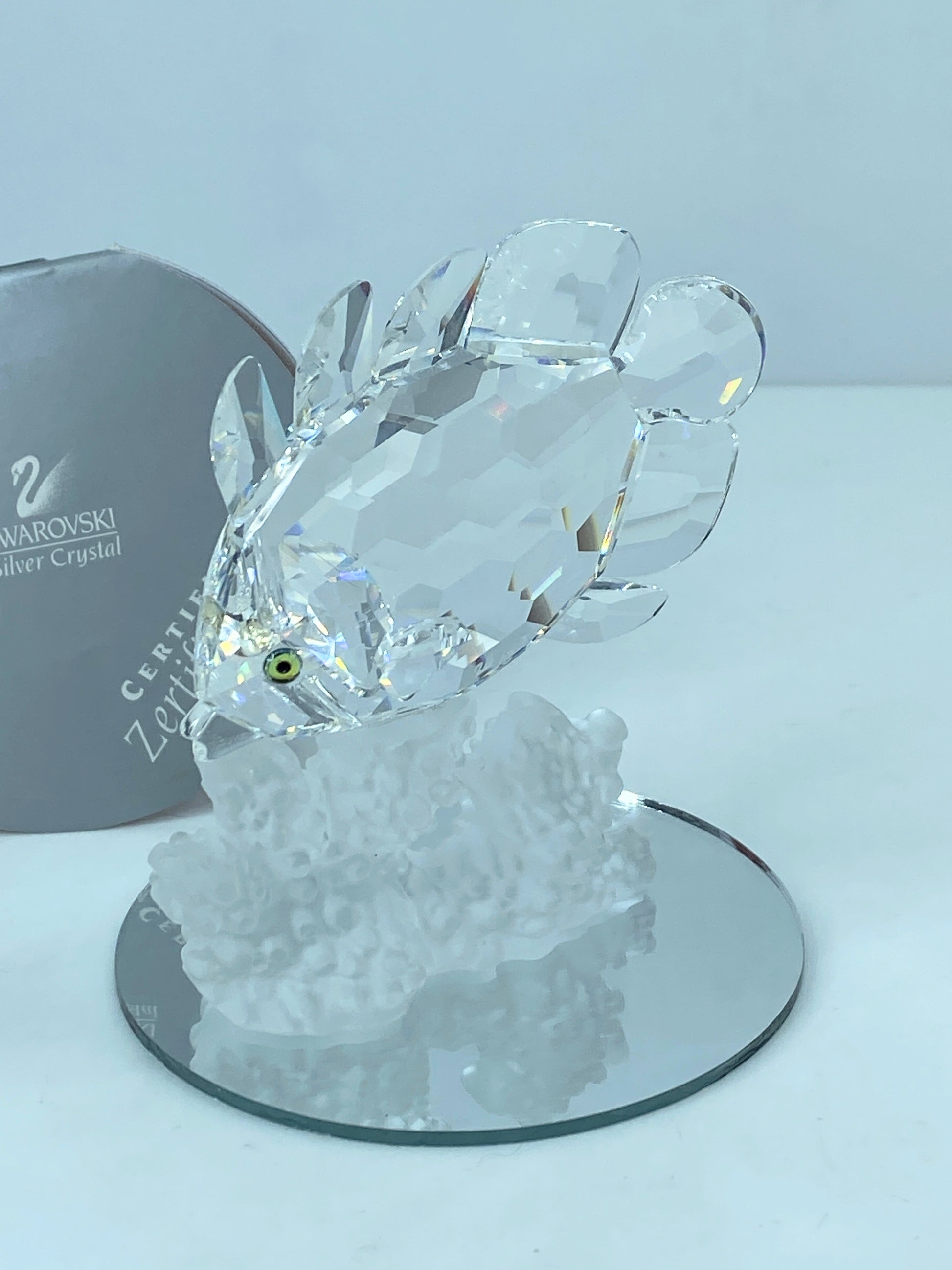 Swarovski Crystal Butterfly Fish 162888 Figurine Mint COA Mirror S112
