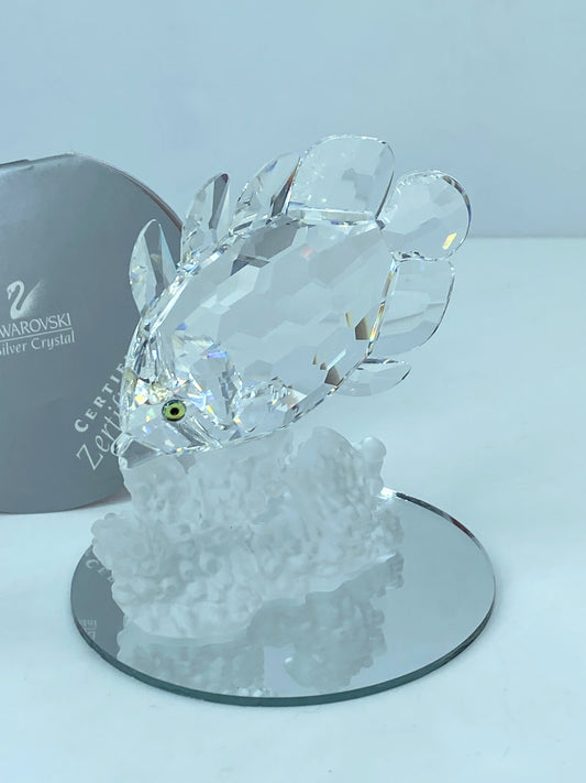 Swarovski Crystal Butterfly Fish 162888 Figurine Mint COA Mirror S112