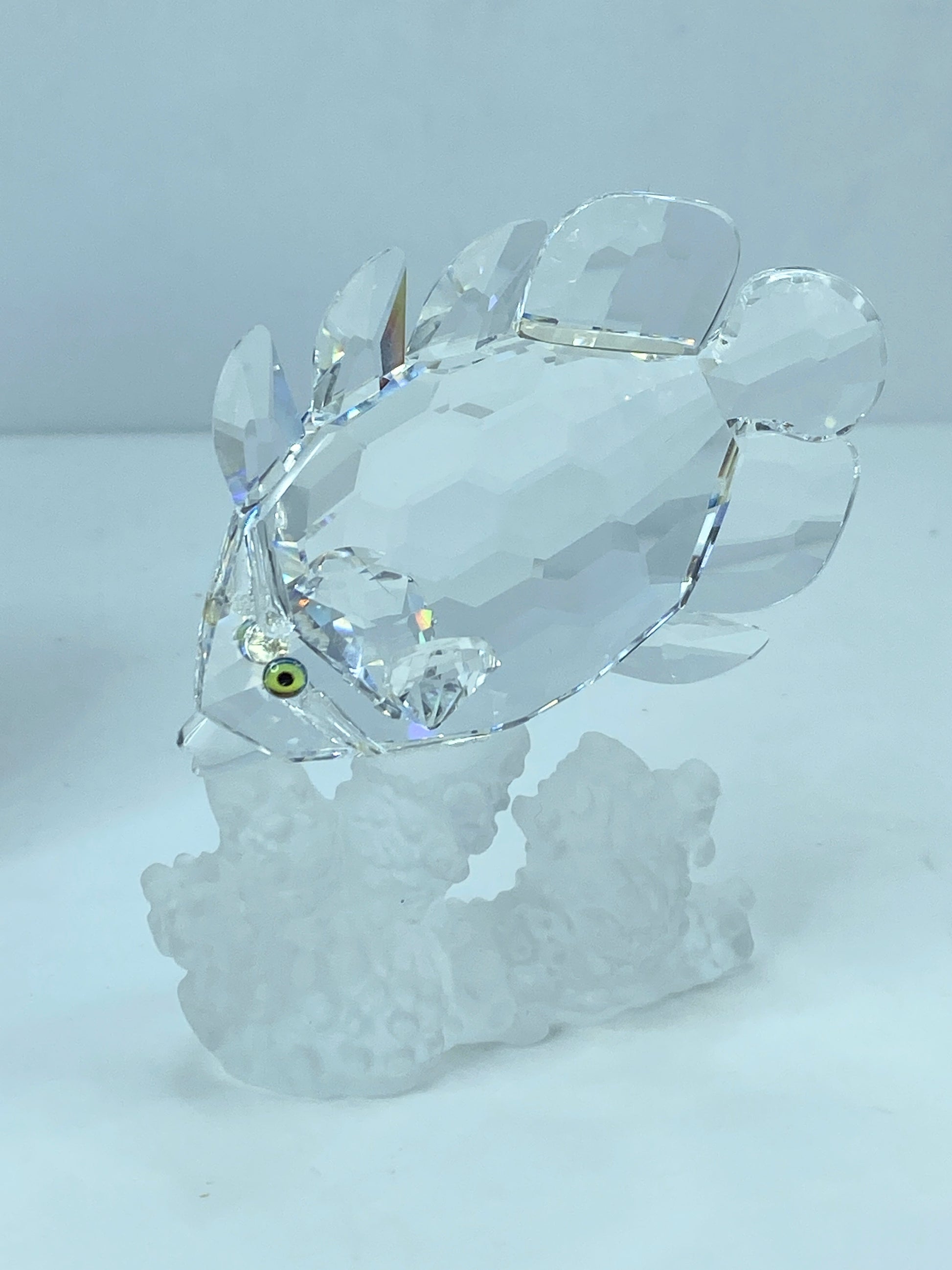 Swarovski Crystal Butterfly Fish 162888 Figurine Mint COA Mirror S112
