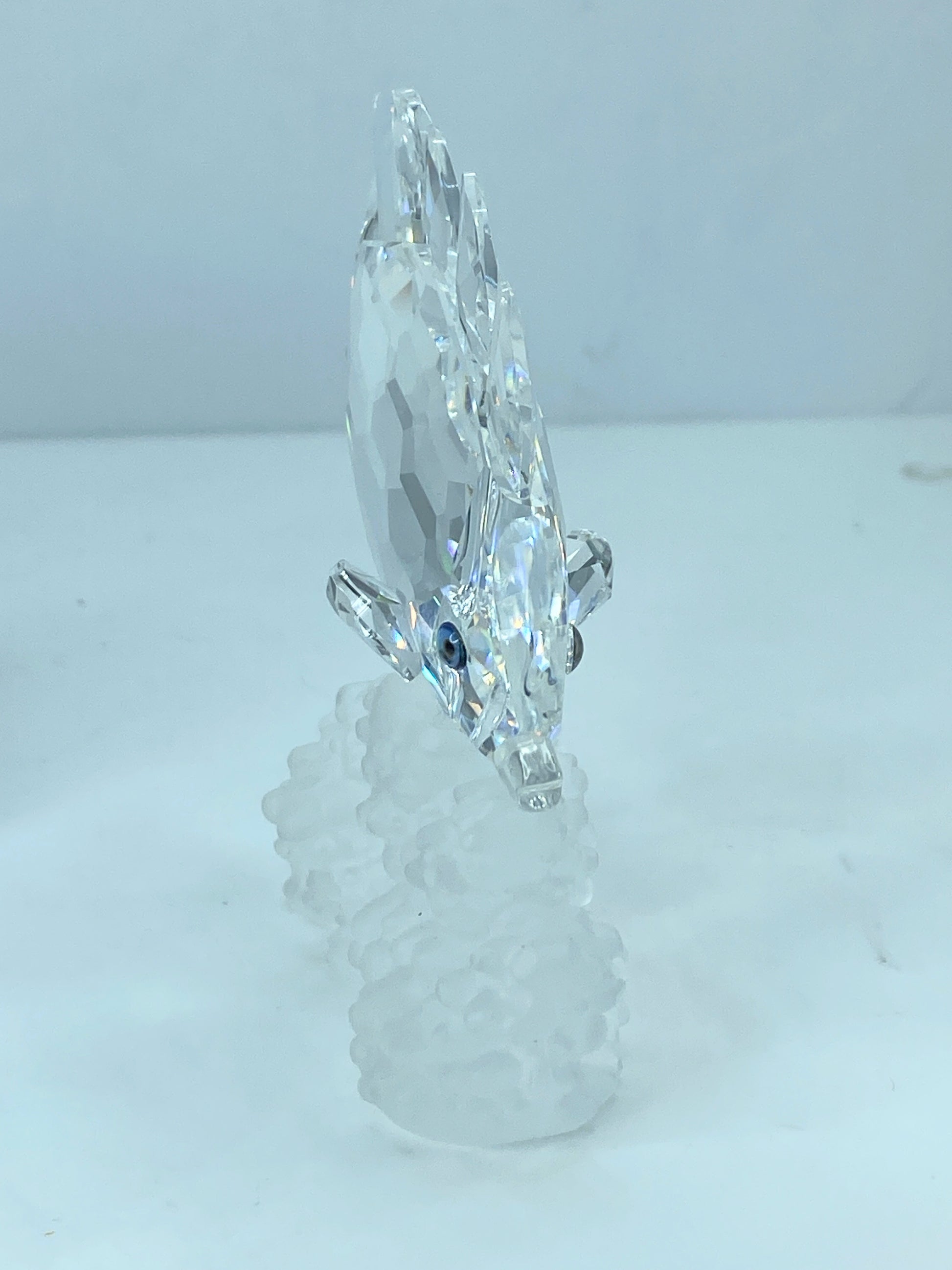 Swarovski Crystal Butterfly Fish 162888 Figurine Mint COA Mirror S112