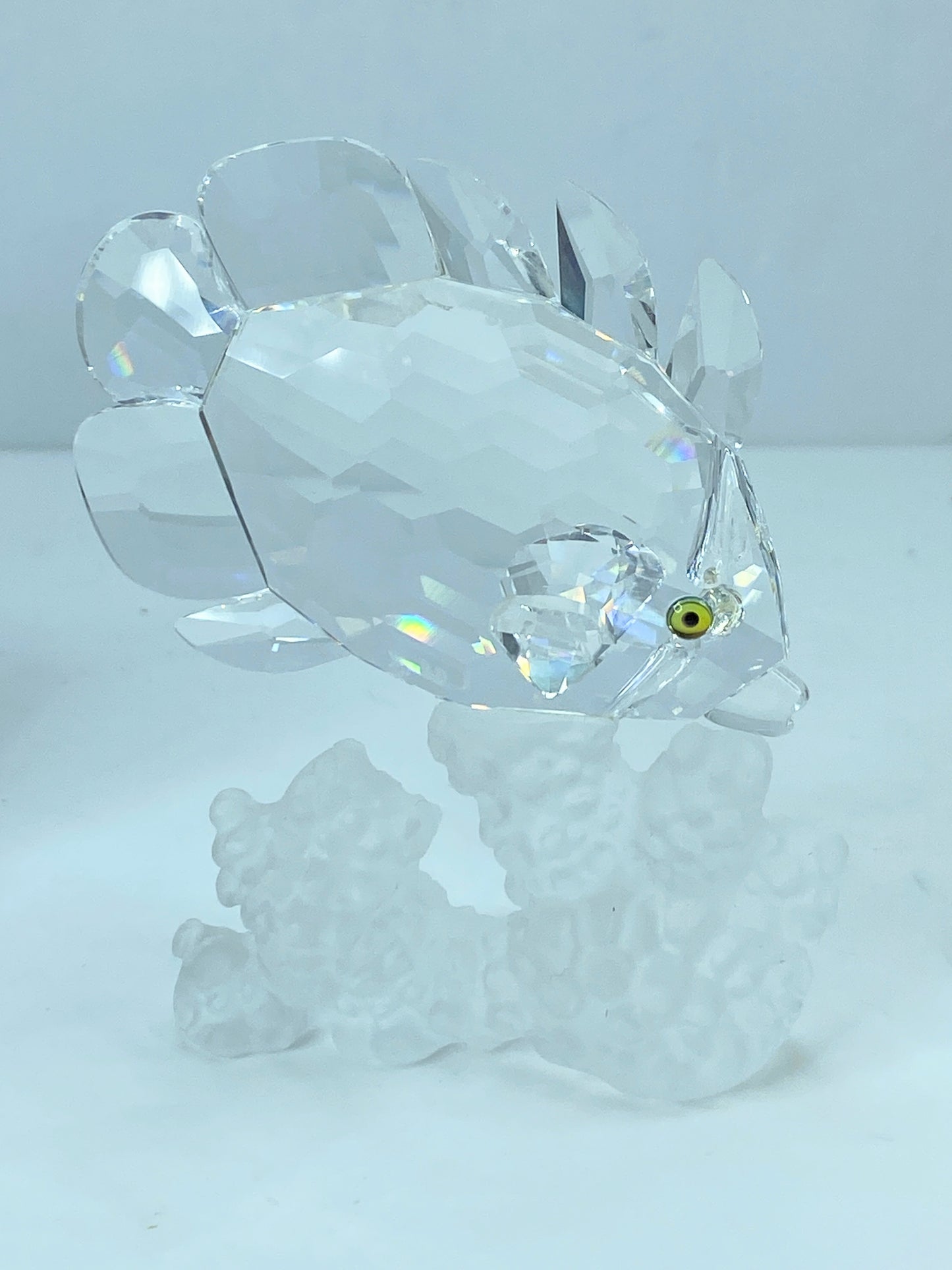 Swarovski Crystal Butterfly Fish 162888 Figurine Mint COA Mirror S112