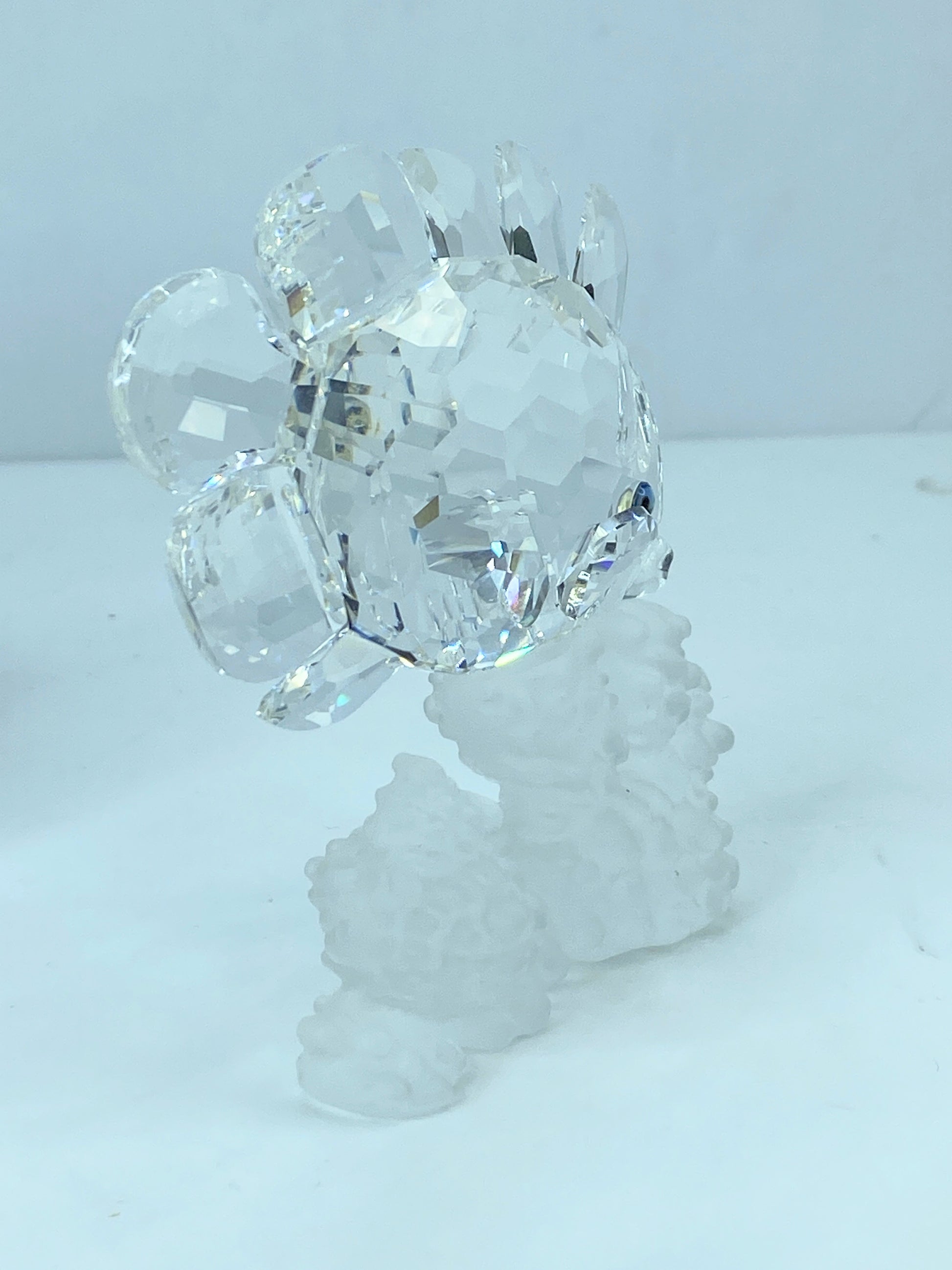 Swarovski Crystal Butterfly Fish 162888 Figurine Mint COA Mirror S112