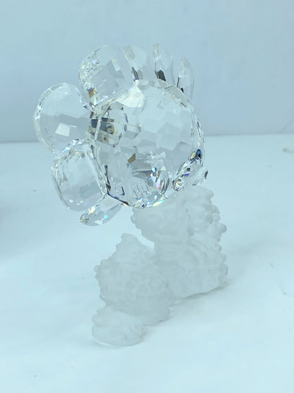 Swarovski Crystal Butterfly Fish 162888 Figurine Mint COA Mirror S112