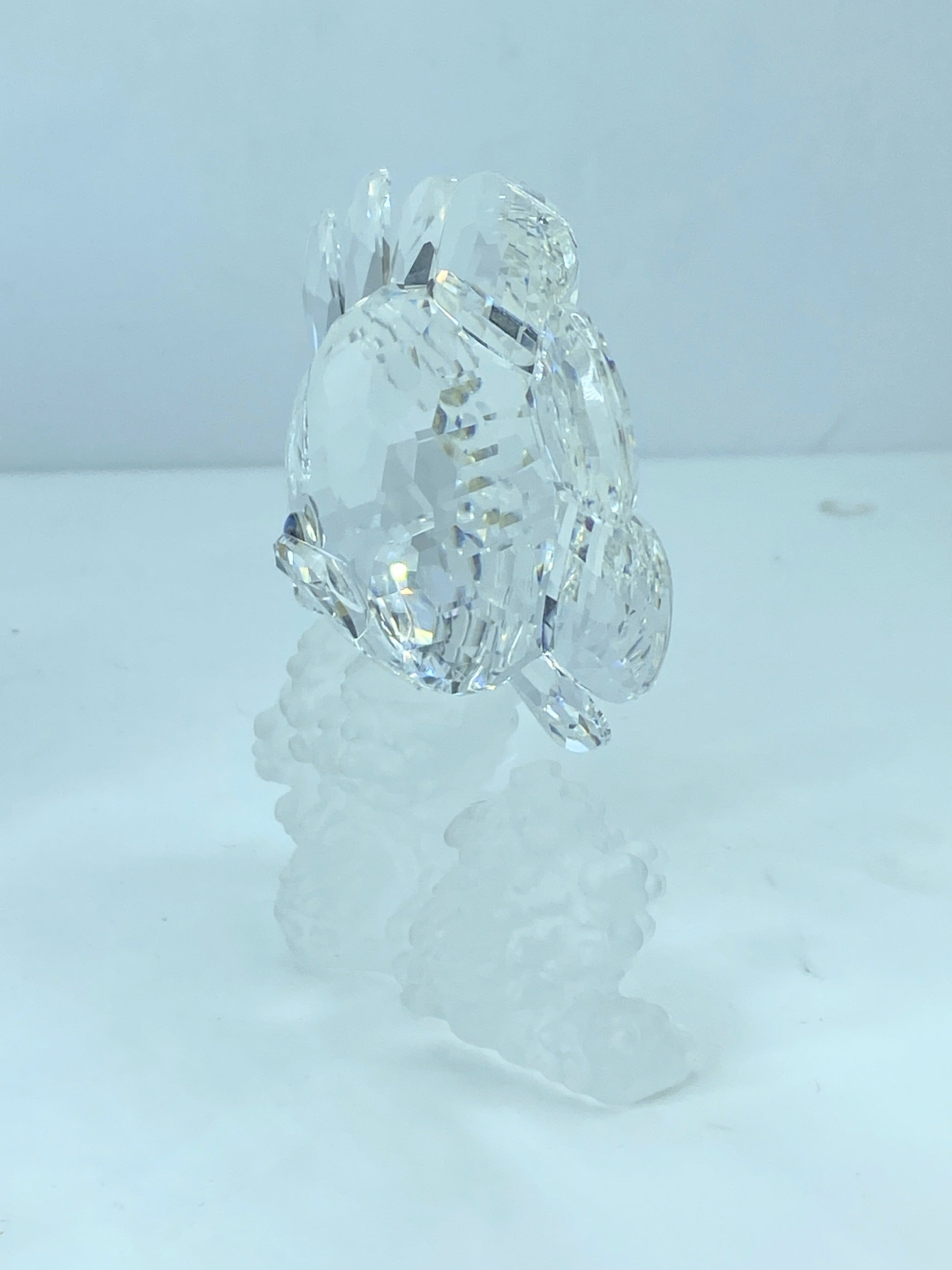 Swarovski Crystal Butterfly Fish 162888 Figurine Mint COA Mirror S112