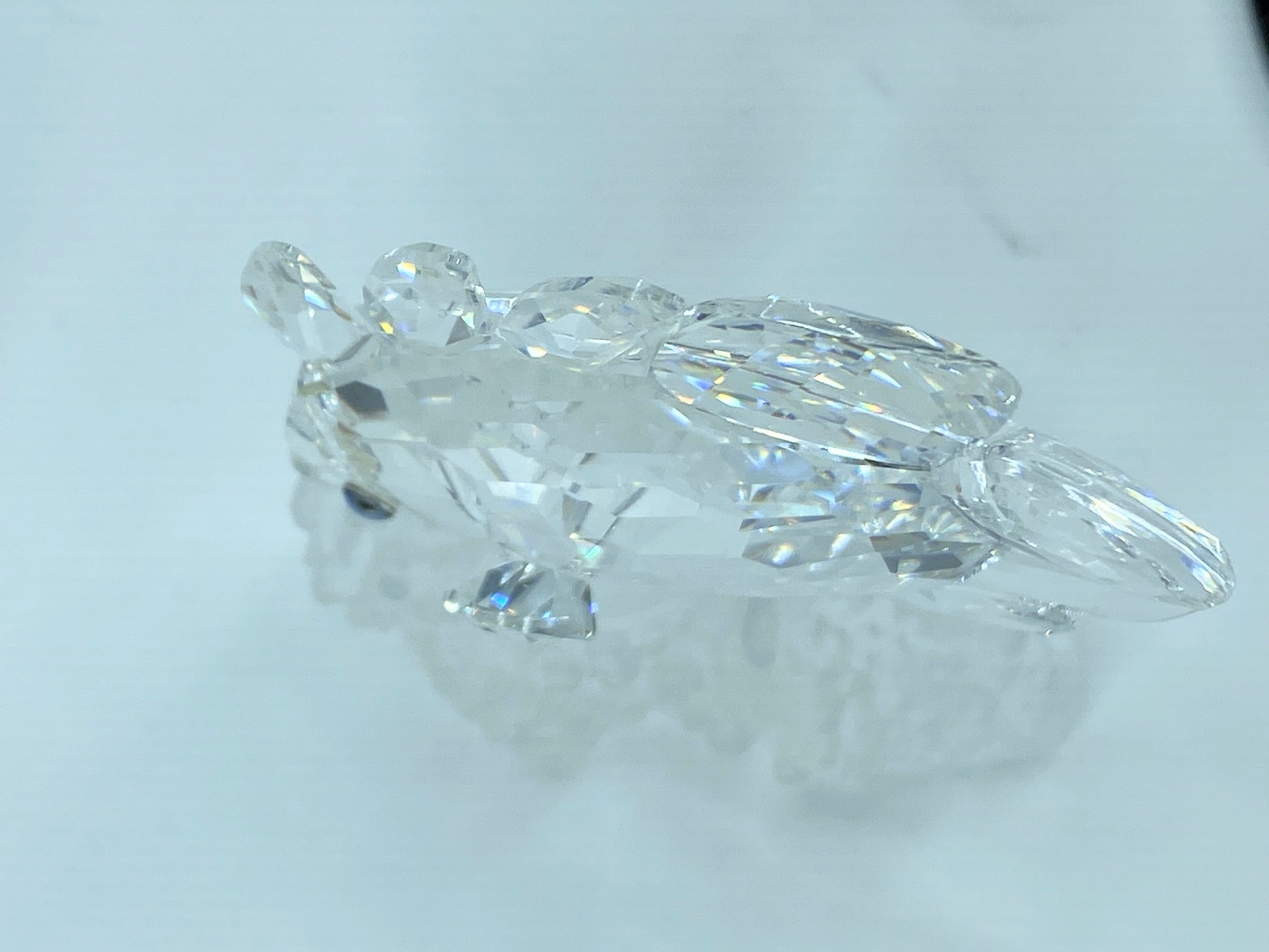 Swarovski Crystal Butterfly Fish 162888 Figurine Mint COA Mirror S112