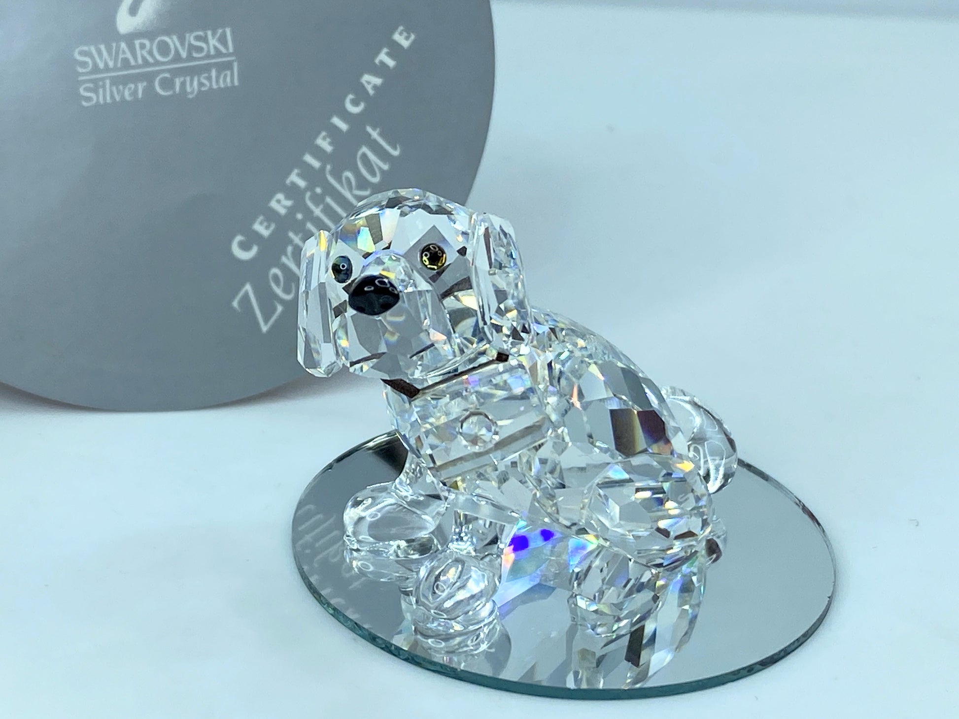 Swarovski Crystal St Bernard Puppy Mint COA Displayed Mirror S121