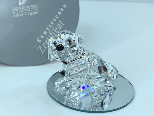 Swarovski Crystal St Bernard Puppy Mint COA Displayed Mirror S121