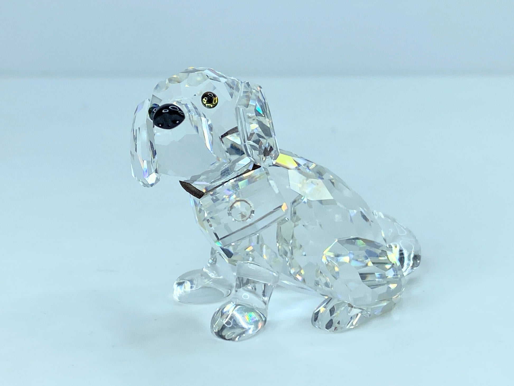 Swarovski Crystal St Bernard Puppy Mint COA Displayed Mirror S121