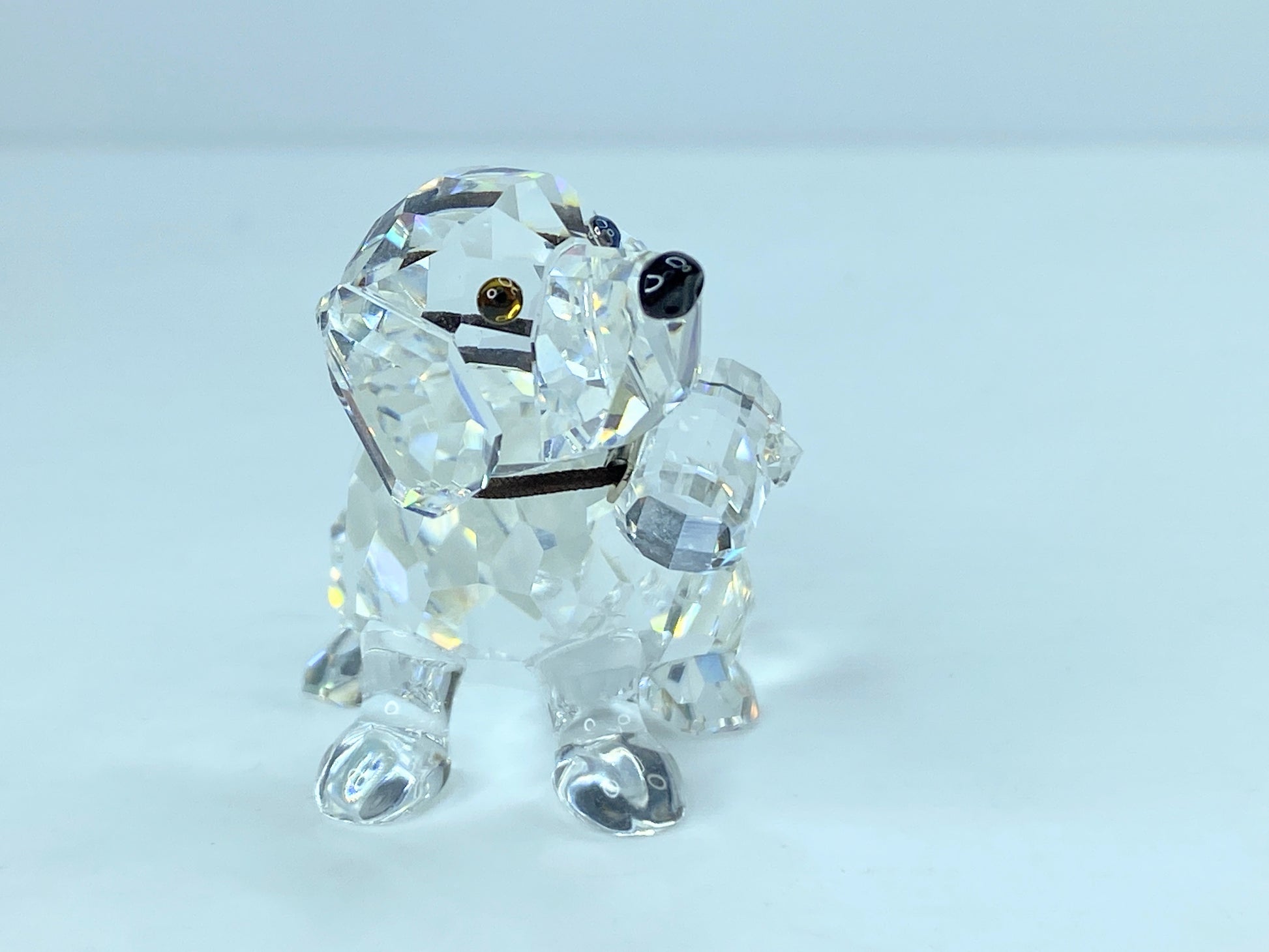 Swarovski Crystal St Bernard Puppy Mint COA Displayed Mirror S121
