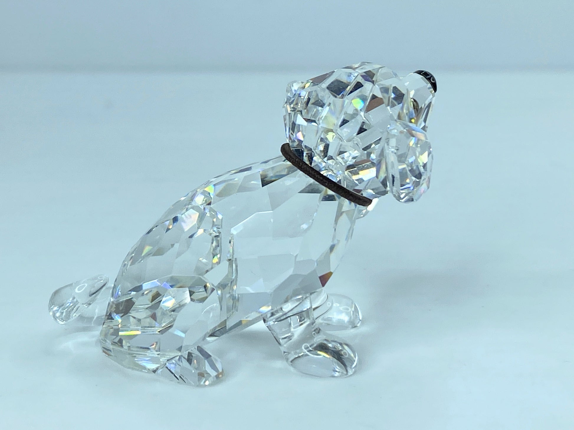 Swarovski Crystal St Bernard Puppy Mint COA Displayed Mirror S121