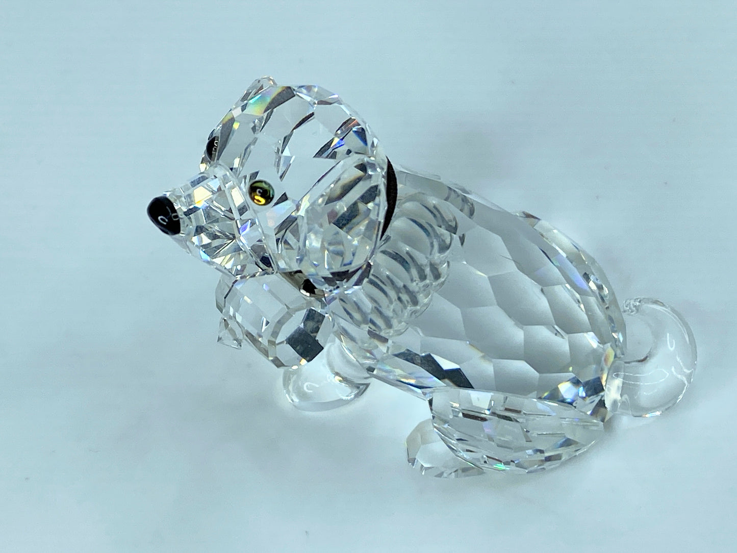 Swarovski Crystal St Bernard Puppy Mint COA Displayed Mirror S121