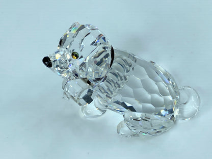 Swarovski Crystal St Bernard Puppy Mint COA Displayed Mirror S121