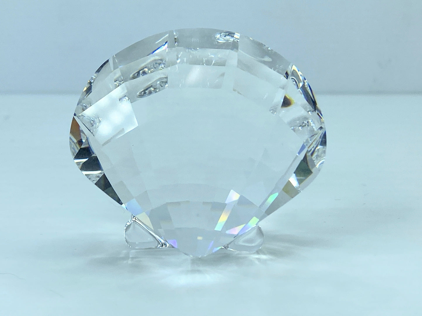 Swarovski SCS Eternity Scallop Shell 833506 COA displayed Mirror S117