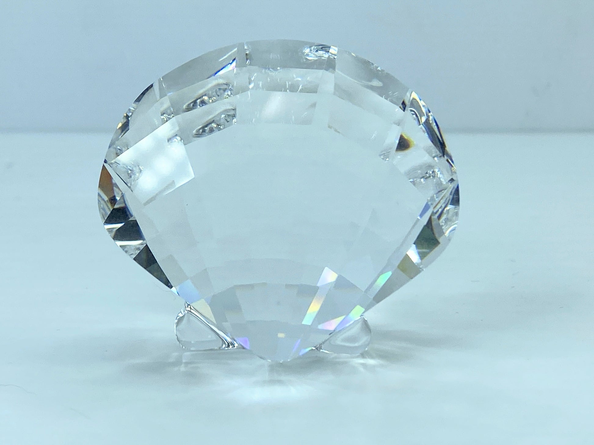 Swarovski SCS Eternity Scallop Shell 833506 COA displayed Mirror S117