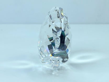 Swarovski SCS Eternity Scallop Shell 833506 COA displayed Mirror S117
