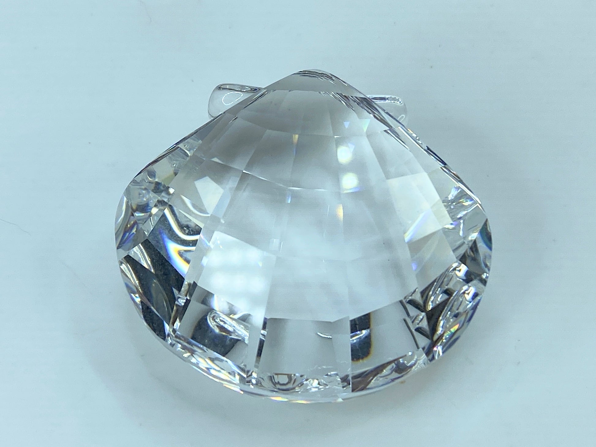 Swarovski SCS Eternity Scallop Shell 833506 COA displayed Mirror S117