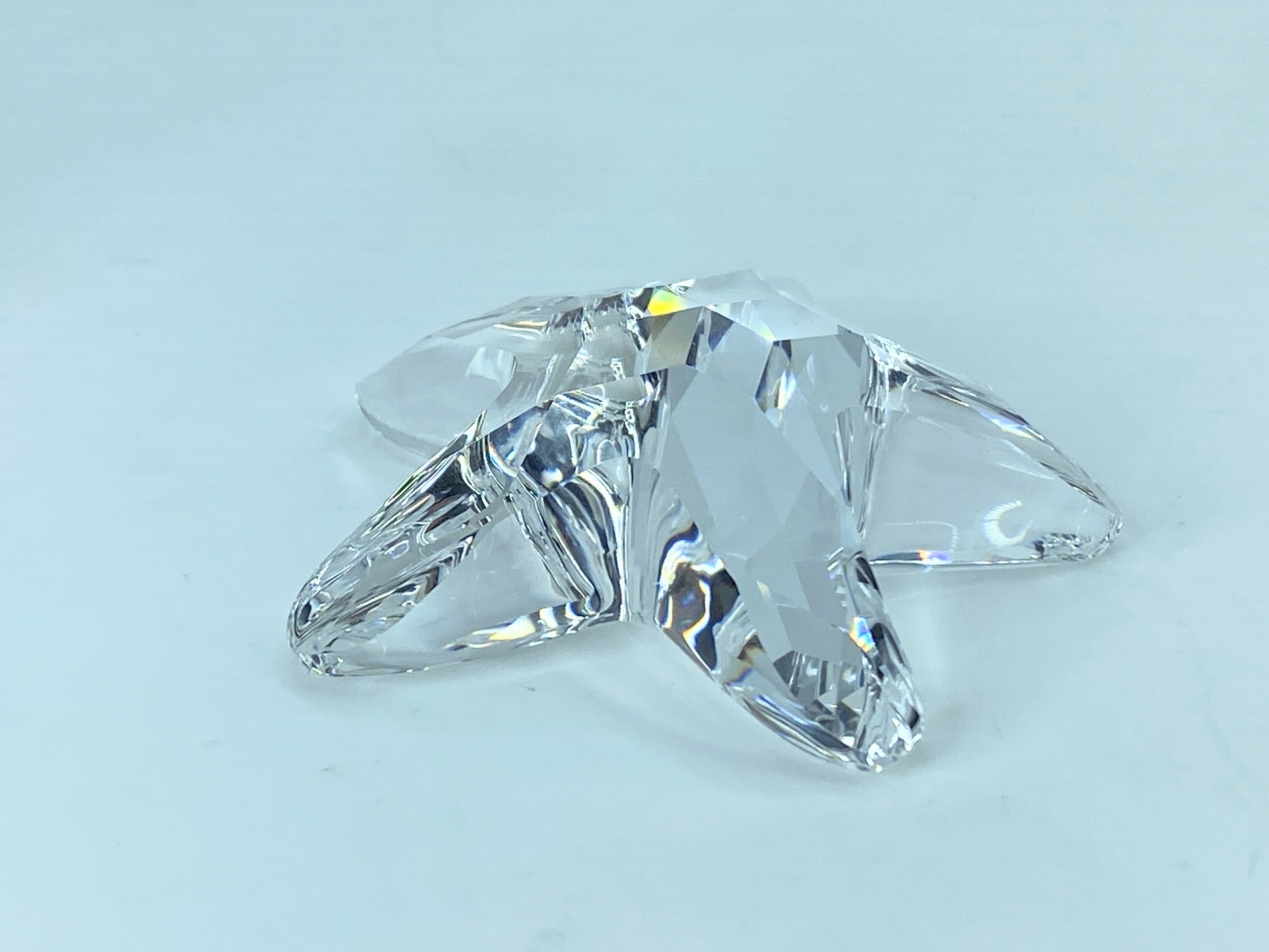 Swarovski Crystal Figurine SCS 2005 Starfish #679350 2.0" COA Mirror S118