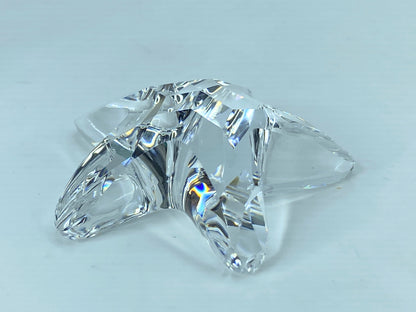 Swarovski Crystal Figurine SCS 2005 Starfish #679350 2.0" COA Mirror S118