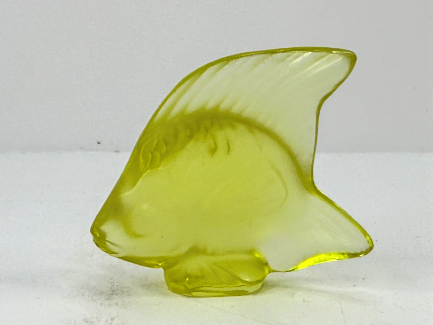 Lalique France Yellow Sun Coffret Cachet Poisson Fish A1123