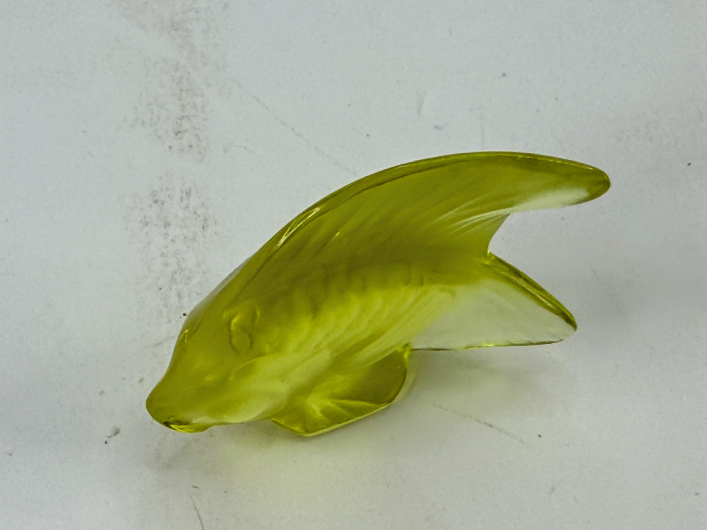 Lalique France Yellow Sun Coffret Cachet Poisson Fish A1123