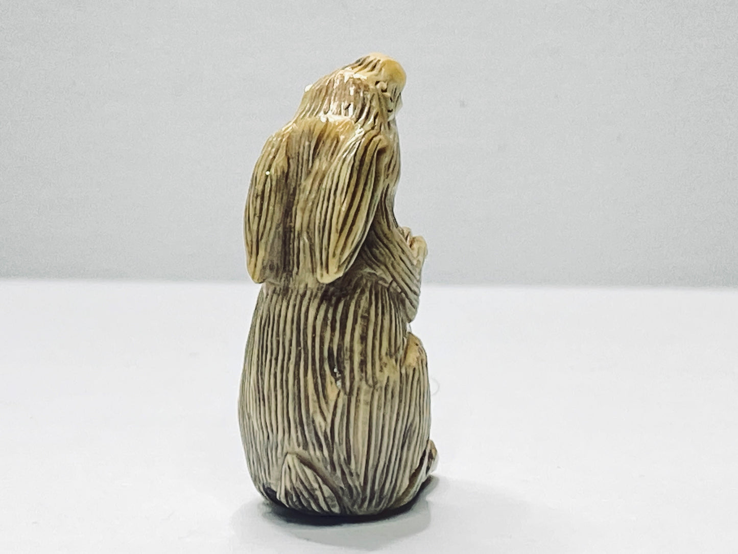 rly-Century Japanese Handcarved Resin Rabbit Netsuke Signed Miniature A672