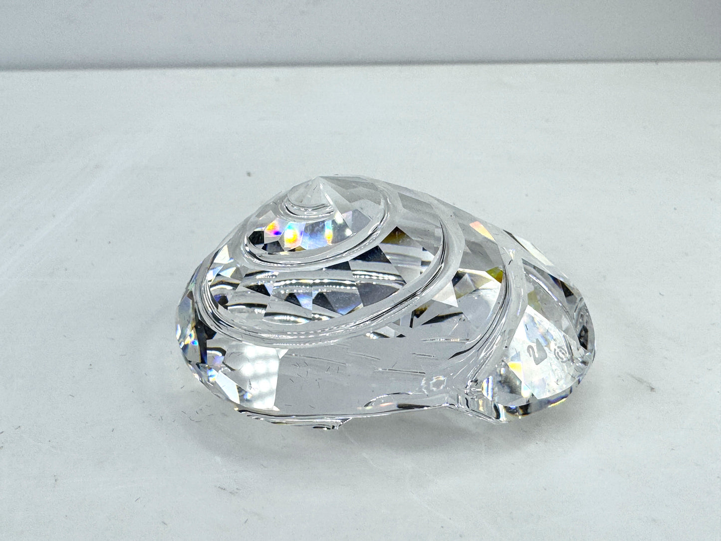 Vintage Swarovski Sea Life Top Shell Crystal Figurine 880693 in Box S328