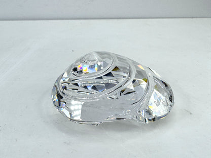 Vintage Swarovski Sea Life Top Shell Crystal Figurine 880693 in Box S328