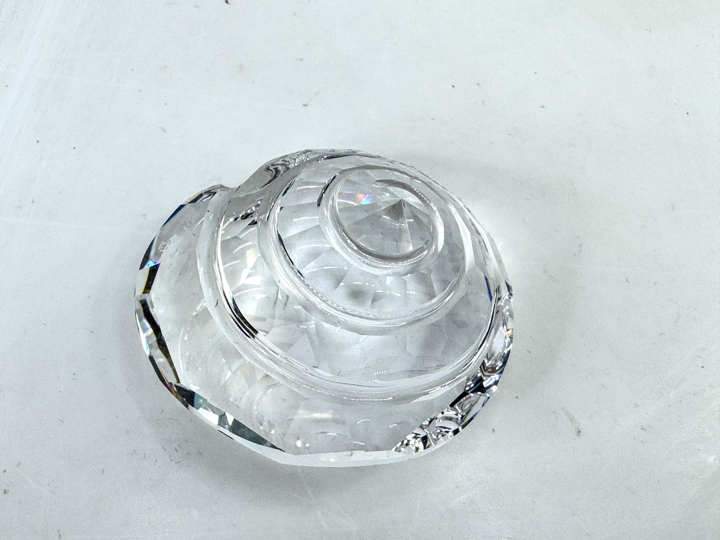 Vintage Swarovski Sea Life Top Shell Crystal Figurine 880693 in Box S328