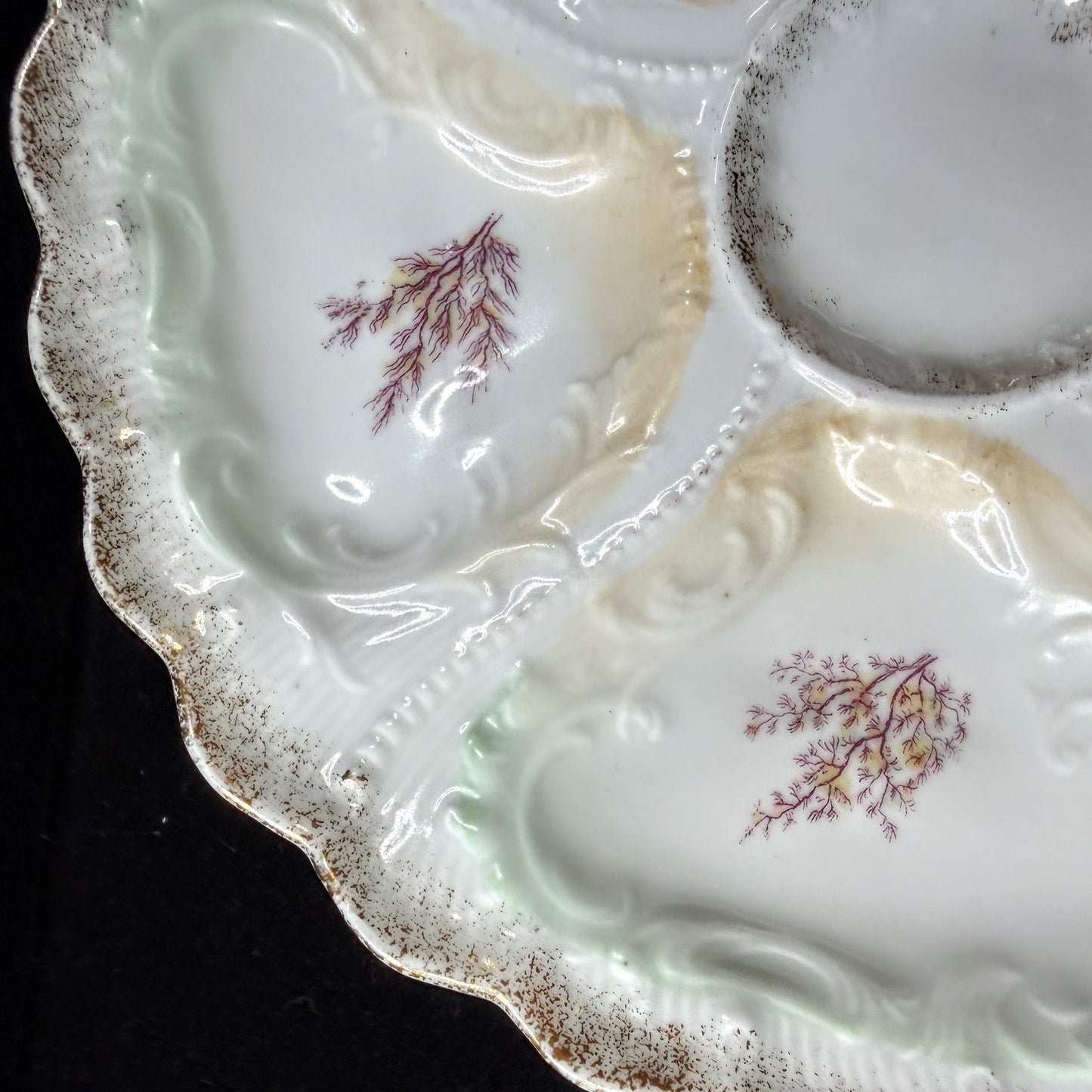 Antique Weimar Germany Porcelain Oyster Plate Seaweed Floral Gilt Rim A1145