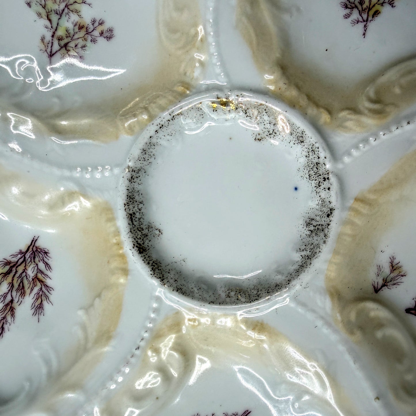 Antique Weimar Germany Porcelain Oyster Plate Seaweed Floral Gilt Rim A1145