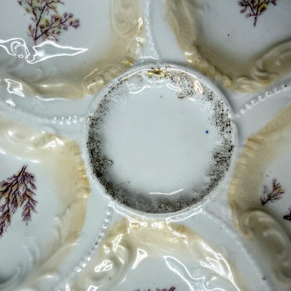 Antique Weimar Germany Porcelain Oyster Plate Seaweed Floral Gilt Rim A1145