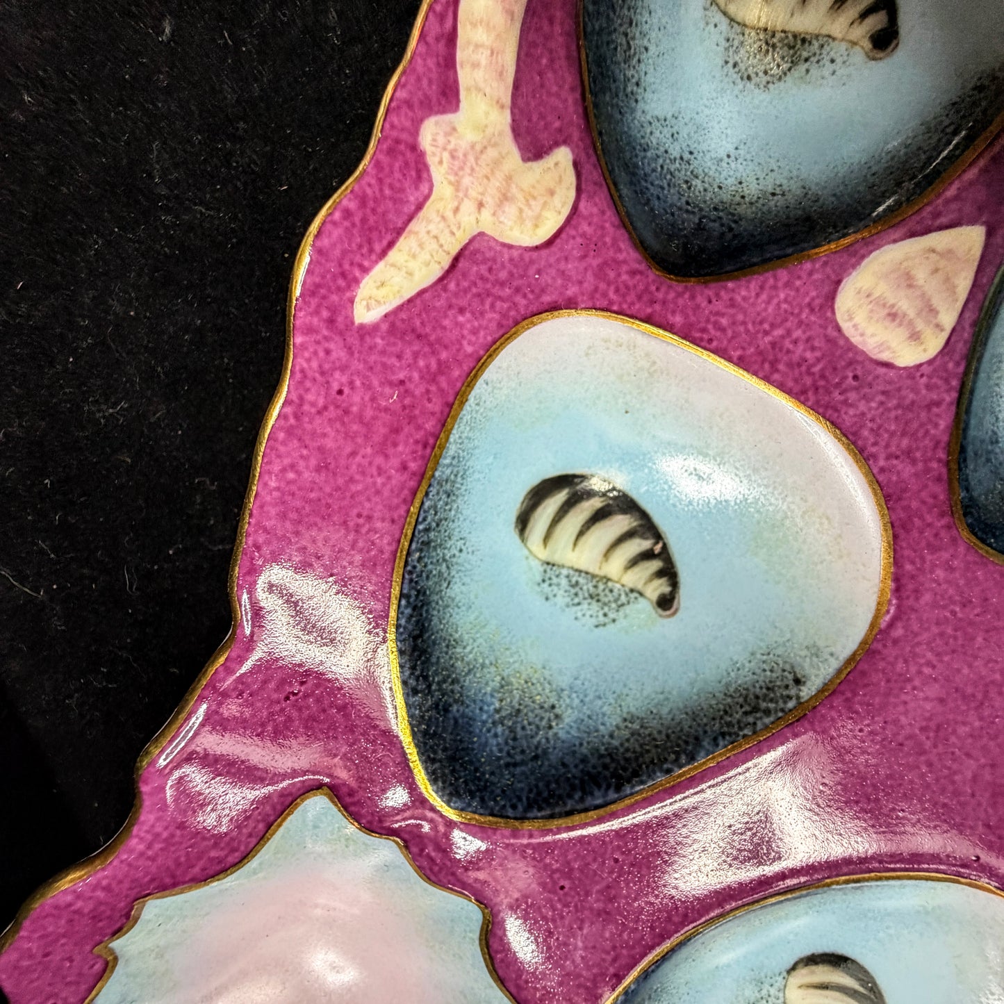 Antique Limoges Porcelain Oyster Plate Magenta Blue Shell Motif Six Wells A1148