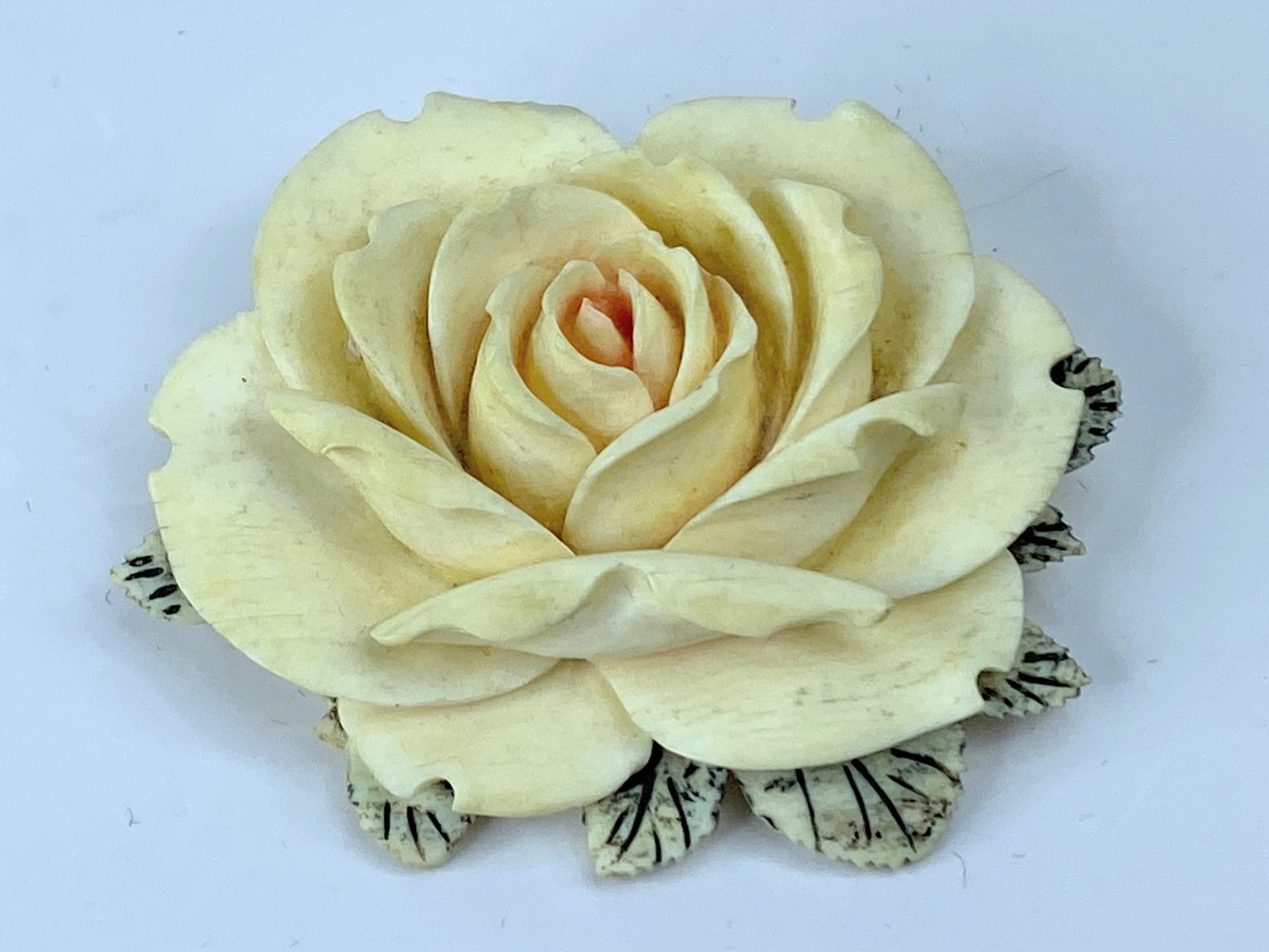 c1930 deep carved resin Rose Floral brooch pink center sterling silver JR671