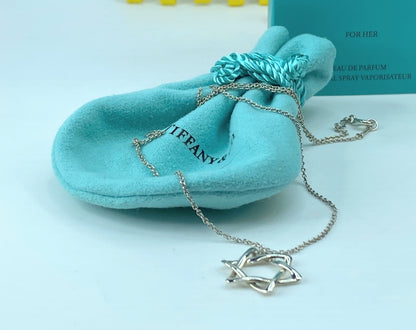 Tiffany & Co. Elsa Peretti Star of David 16" Necklace 2.2grams 16.0" JR737