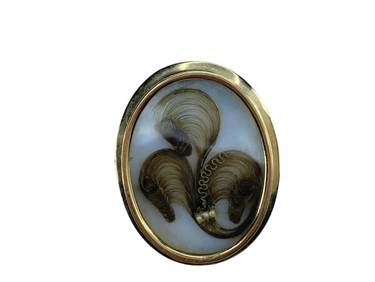 Early Victorian Gold Hair Memento Mori Keepsake Brooch