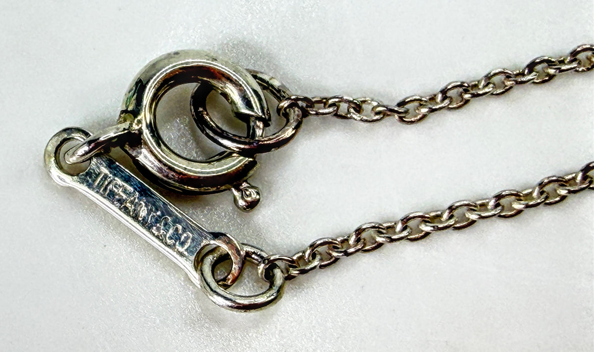 Tiffany & Co. Elsa Peretti Eternal Circle Sterling Necklace 16.5" 5.7g JR2045
