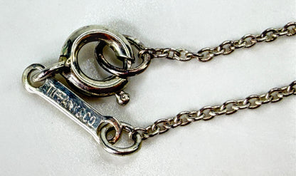 Tiffany & Co. Elsa Peretti Eternal Circle Sterling Necklace 16.5" 5.7g JR2045