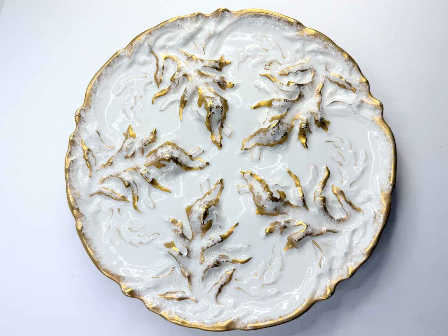 Antique c1890cHaviland Limoges France Oyster Plate Seaweed Design Porcelain A800