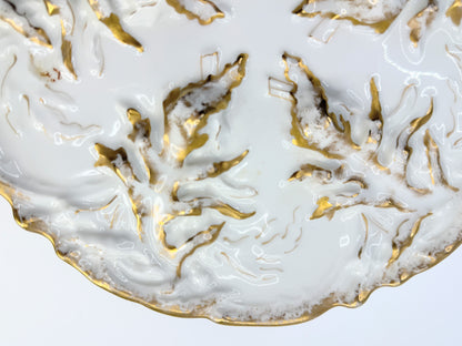 Antique c1890cHaviland Limoges France Oyster Plate Seaweed Design Porcelain A800