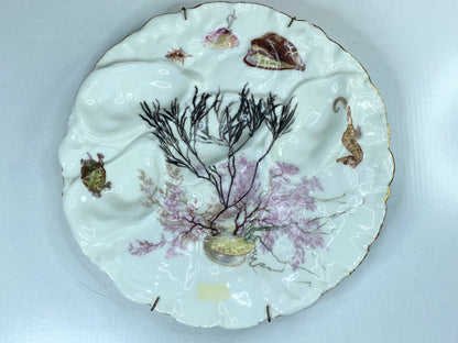 19th century Haviland & Co Limoges Oyster plate with Turkey Pattern H & Co A333