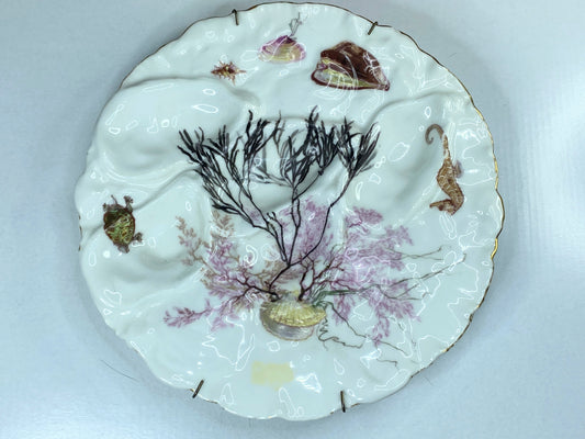 19th century Haviland & Co Limoges Oyster plate with Turkey Pattern H & Co A333