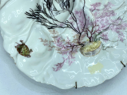 19th century Haviland & Co Limoges Oyster plate with Turkey Pattern H & Co A333
