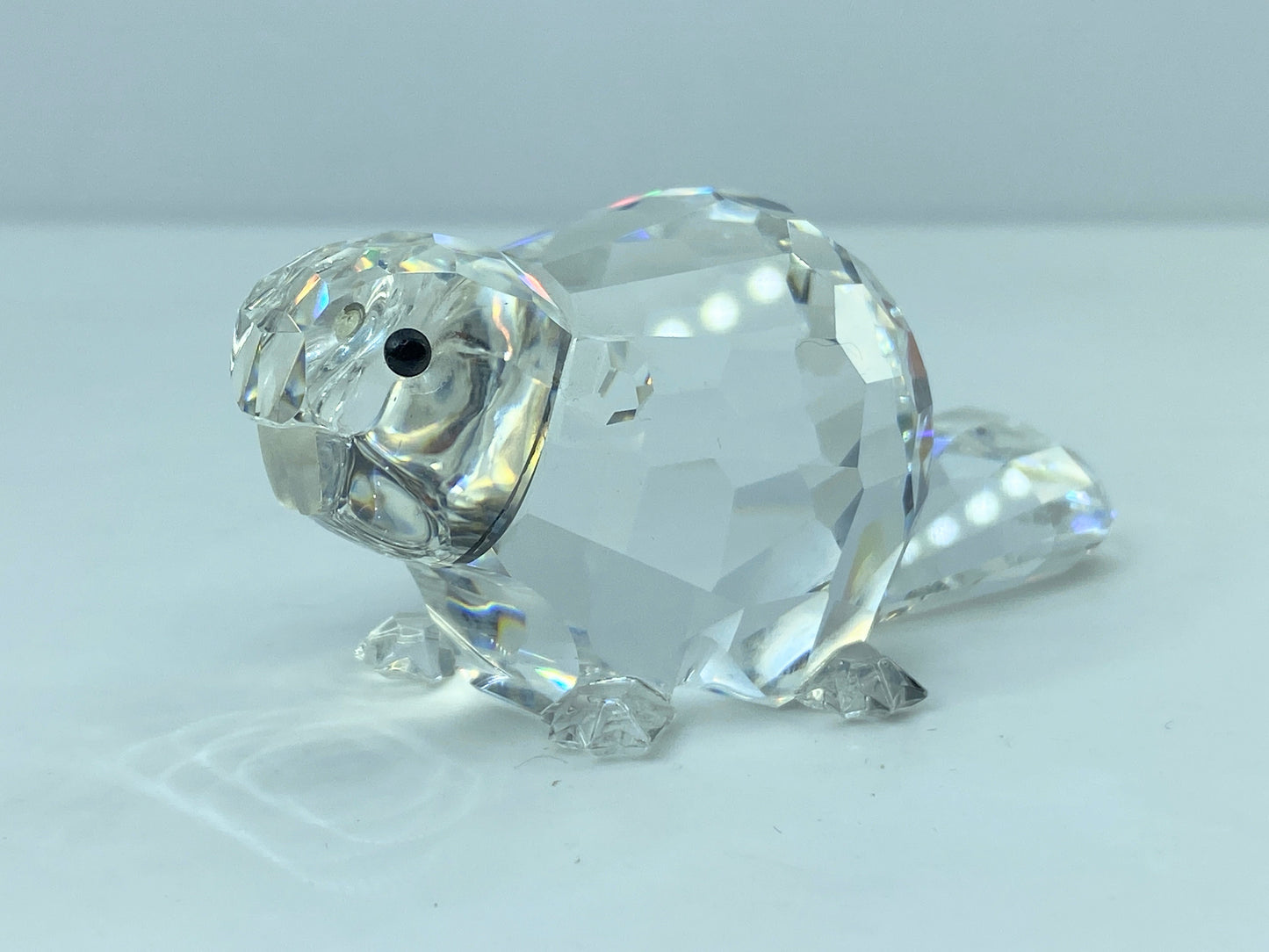 Swarovski Figurine: 164637 Beaver Mother 3 1/8" COA with Mirror S124